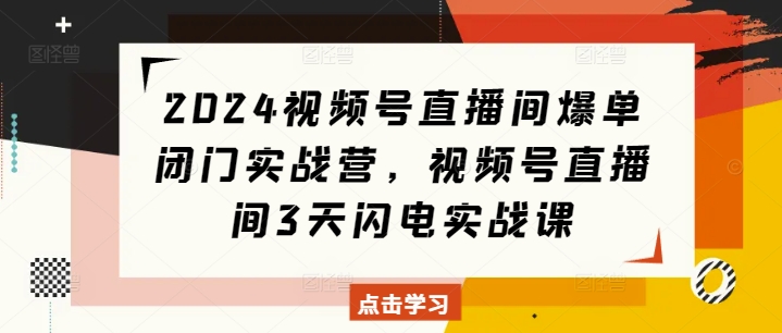 2024视频号直播间爆单闭门实战营，视频号直播间3天闪电实战课-高清美女套图，你想要的都有。