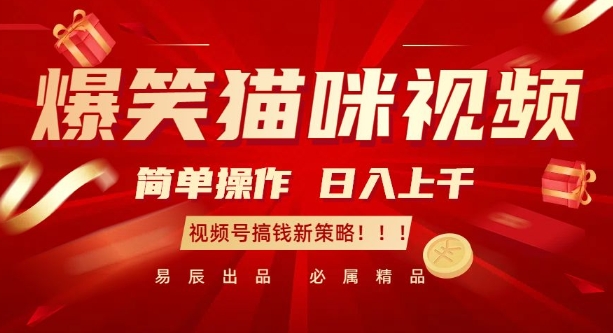 爆笑猫咪视频:简单操作,日入过K,视频号搞钱新策略【揭秘】-高清美女套图,你想要的都有。