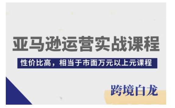 亚马逊运营实战课程，亚马逊从入门到精通，性价比高，相当于市面万元以上元课程-高清美女套图，你想要的都有。