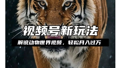 利用动物世界解说视频，赚分成计划收益，轻松月入过W，操作简单【揭秘】-高清美女套图，你想要的都有。