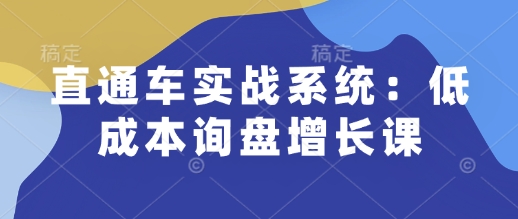 直通车实战系统：低成本询盘增长课，让个人通过技能实现升职加薪，让企业低成本获客，订单源源不断-高清美女套图，你想要的都有。