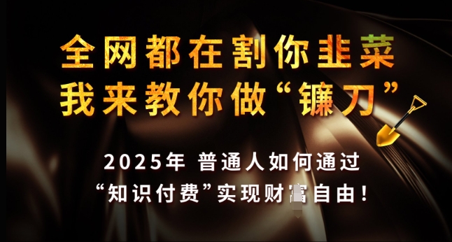 全网都在割你韭菜，我来教你做镰刀，2025年普通人如何通过 知识付费 实现财F自由【揭秘】-高清美女套图，你想要的都有。