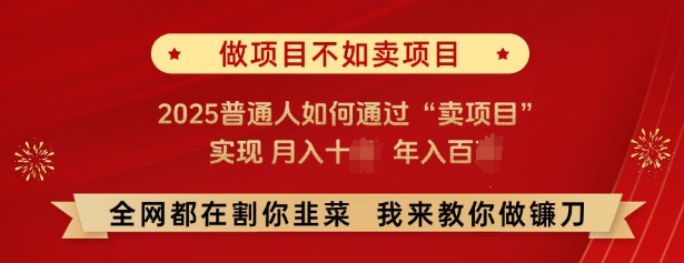 必看，做项目不如卖项目，2025普通人如何通过“卖项目”实现月入十个，年入百个-高清美女套图，你想要的都有。